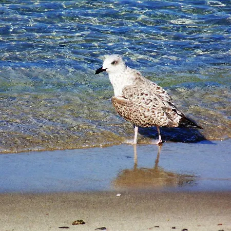 Casa&mare Pizzo (Calabria)