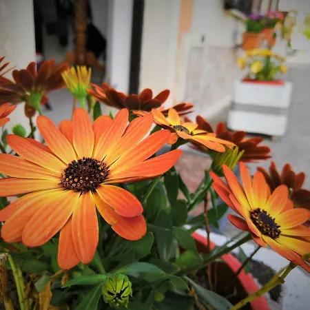 Апартаменты Casa&mare