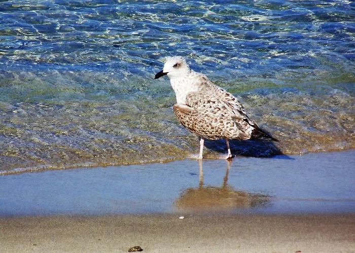 Casa&mare Pizzo (Calabria)