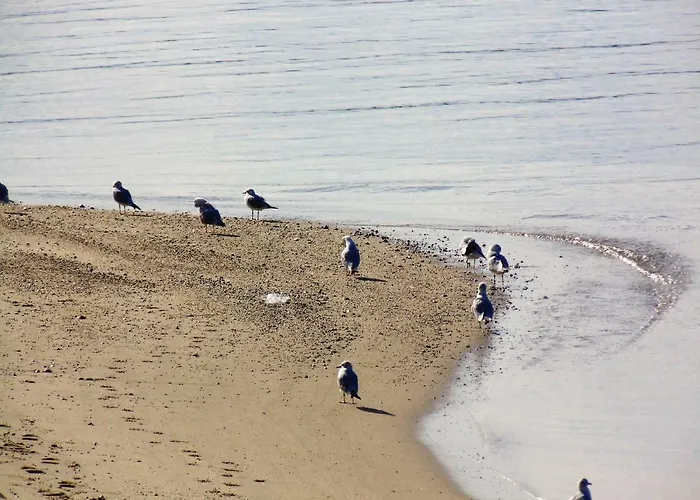 Casa&mare Appartement Pizzo (Calabria)